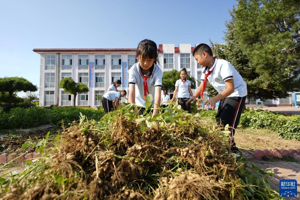 捕鱼游戏网页版在线玩